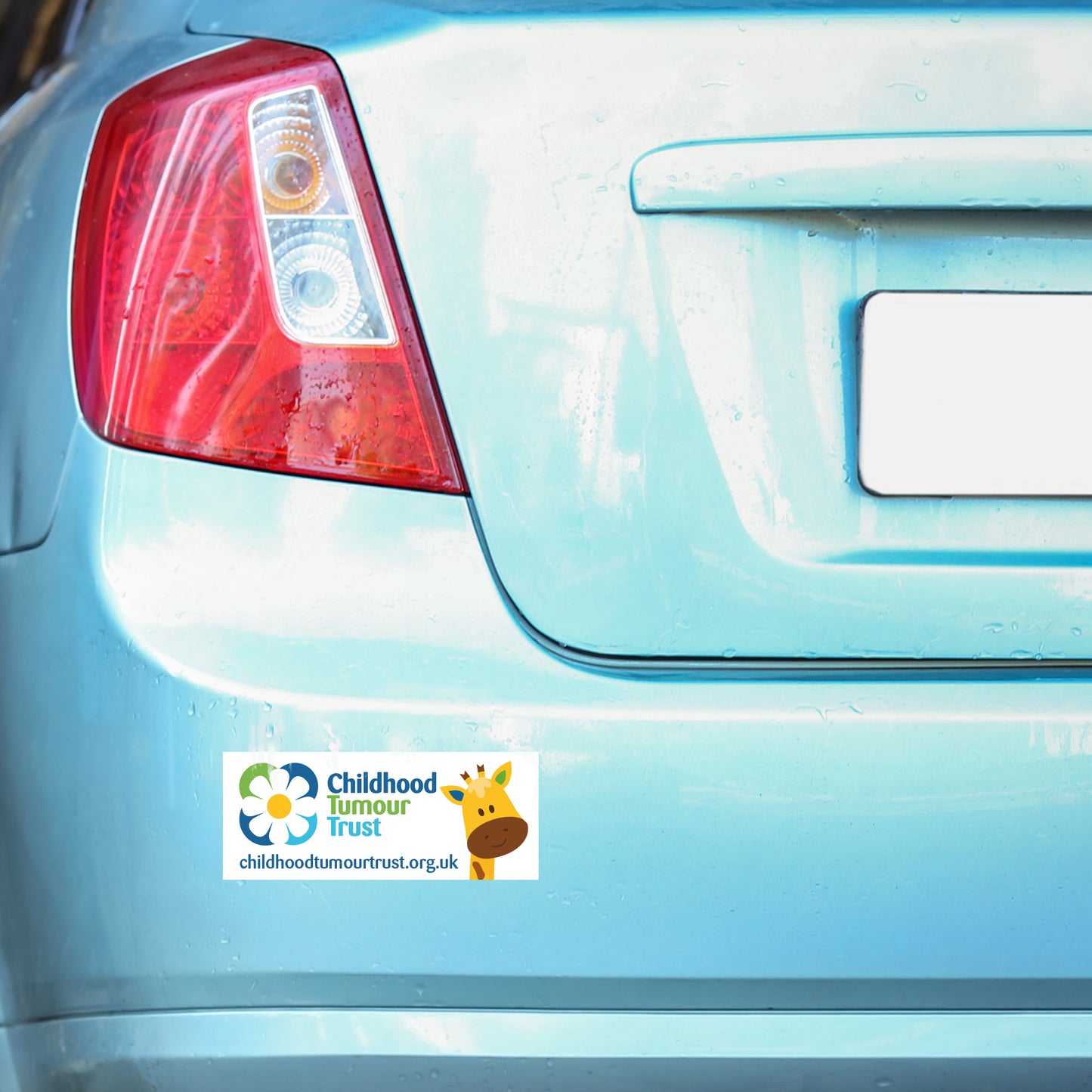Vinyl Car Bumper Sticker